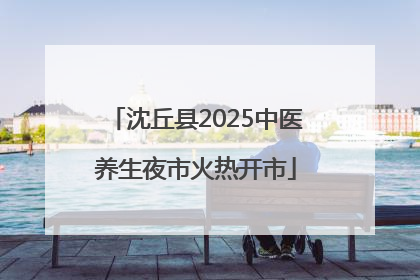 沈丘县2025中医养生夜市火热开市